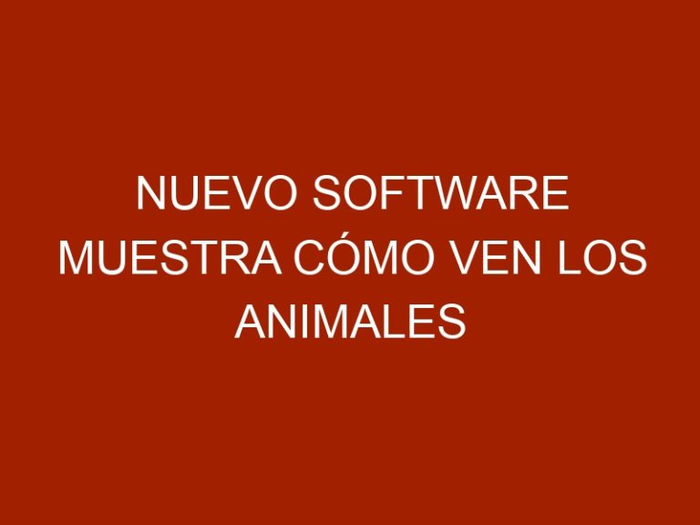 Nuevo software muestra cómo ven los animales