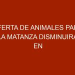 Oferta de animales para la matanza disminuirá en el último trimestre