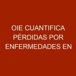 OIE cuantifica pérdidas por enfermedades en producción animal