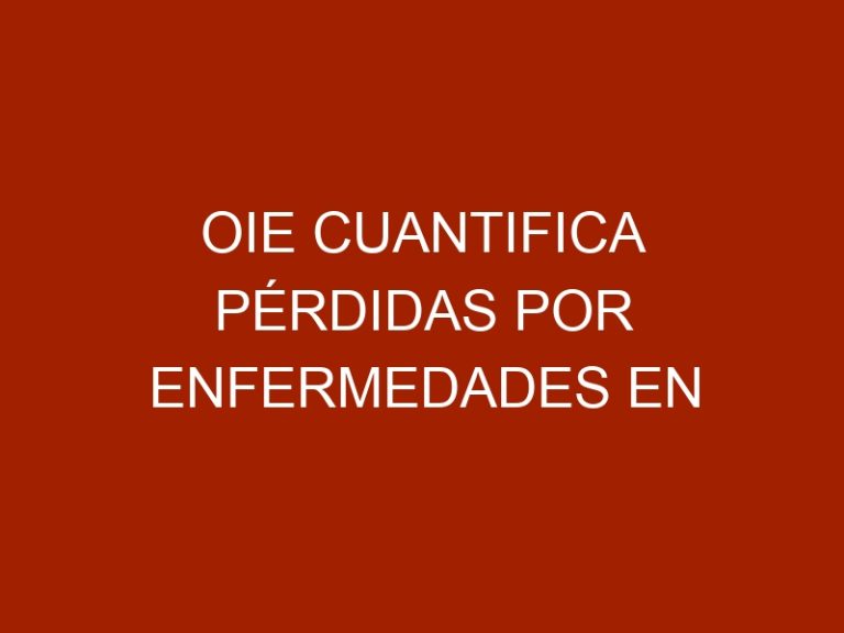 OIE cuantifica pérdidas por enfermedades en producción animal