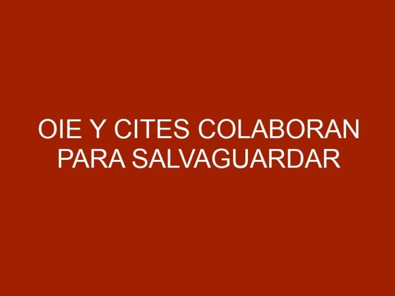 OIE y CITES colaboran para salvaguardar biodiversidad, sanidad animal y humana