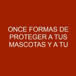 Once formas de proteger a tus mascotas y a tu árbol de Navidad