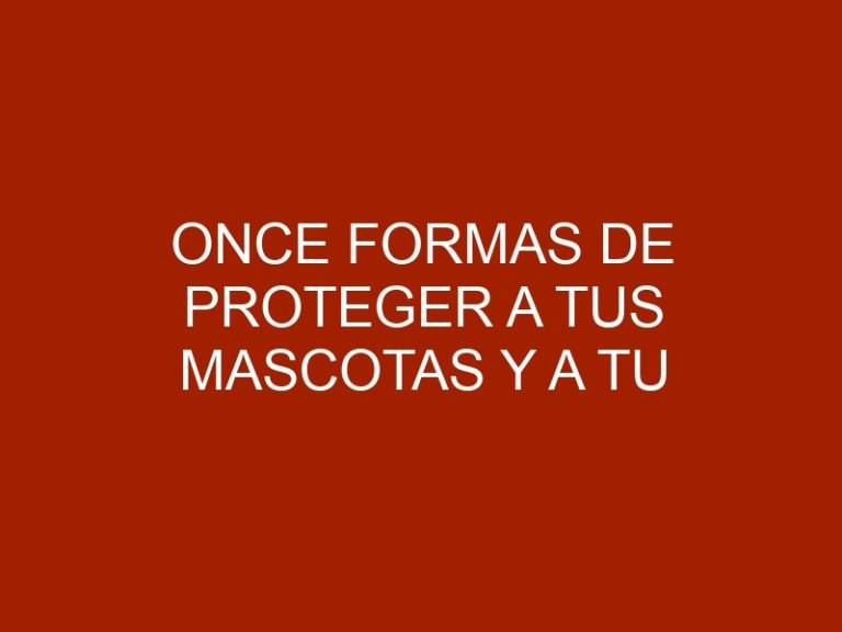 Once formas de proteger a tus mascotas y a tu árbol de Navidad