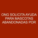 ONG solicita ayuda para mascotas abandonadas por cierre de frontera