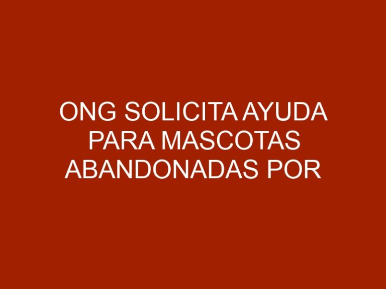 ONG solicita ayuda para mascotas abandonadas por cierre de frontera
