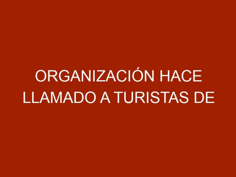 Organización hace llamado a turistas de Latinoamérica sobre protección animal