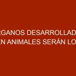 Órganos desarrollados en animales serán los trasplantes del futuro