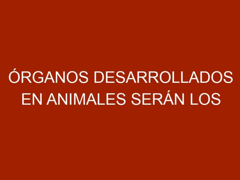 Órganos desarrollados en animales serán los trasplantes del futuro