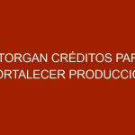 Otorgan créditos para fortalecer producción ganadera en Apure