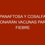 Panaftosa y Cosalfa donarán vacunas para fiebre aftosa a Venezuela