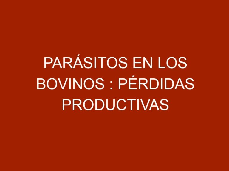 Parásitos en los Bovinos : Pérdidas productivas e impacto económico