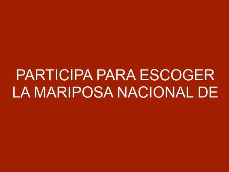 Participa para escoger la Mariposa Nacional de Venezuela