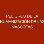 Peligros de la humanización de las mascotas