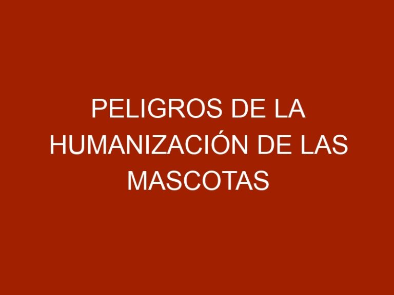 Peligros de la humanización de las mascotas