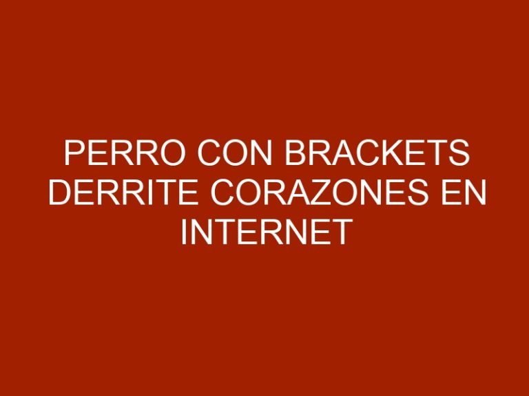 Perro con brackets derrite corazones en internet