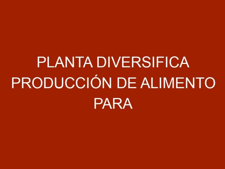 Planta diversifica producción de alimento para animales en Táchira