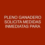 Pleno ganadero solicita medidas inmediatas para rescatar al sector