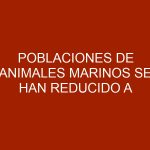 Poblaciones de animales marinos se han reducido a la mitad desde 1970