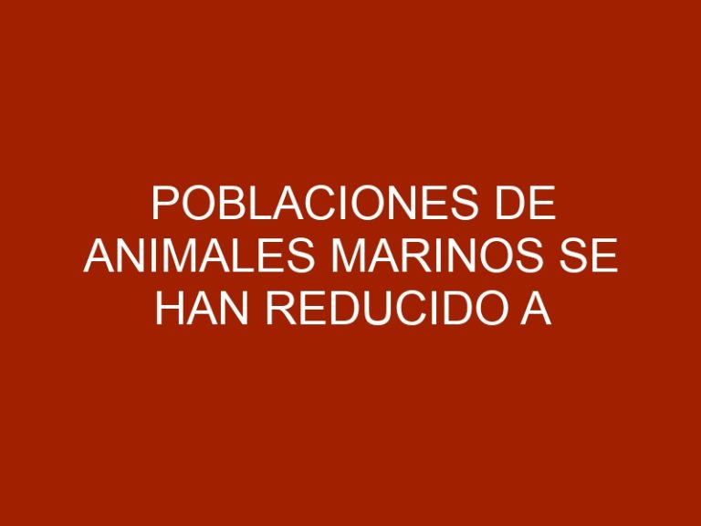 Poblaciones de animales marinos se han reducido a la mitad desde 1970