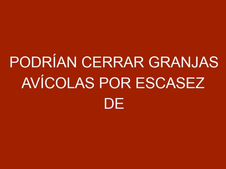 Podrían cerrar granjas avícolas por escasez de alimentos