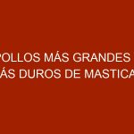Pollos más grandes y más duros de masticar