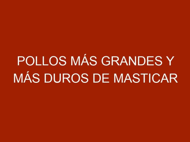 Pollos más grandes y más duros de masticar