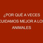 ¿Por qué a veces cuidamos mejor a los animales que a algunas personas?