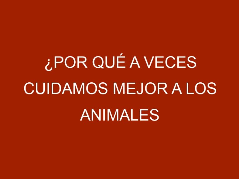 ¿Por qué a veces cuidamos mejor a los animales que a algunas personas?