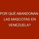 ¿Por qué abandonan a las mascotas en Venezuela?