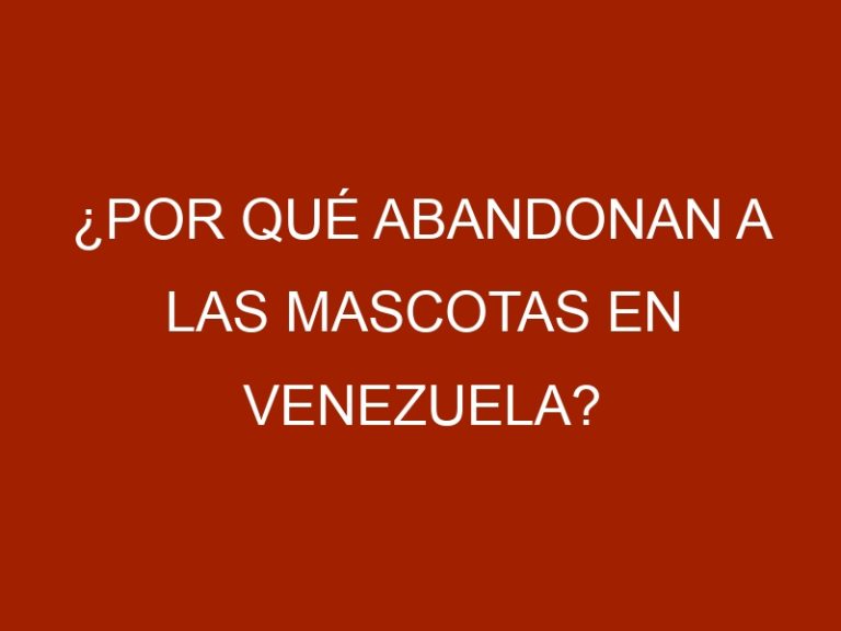 ¿Por qué abandonan a las mascotas en Venezuela?