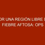 Por una región libre de fiebre aftosa: OPS impulsa colaboración entre Colombia y Venezuela