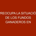 Preocupa la situación de los fundos ganaderos en Anzoátegui