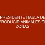 Presidente habla de producir animales en zonas urbanas