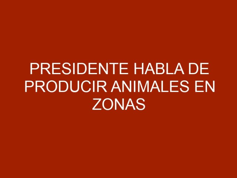 Presidente habla de producir animales en zonas urbanas