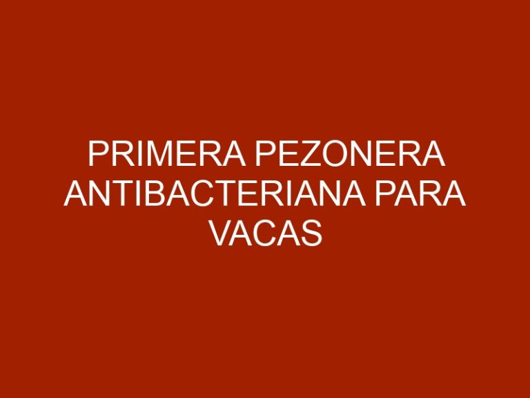 Primera pezonera antibacteriana para vacas promete mitigar la mastitis