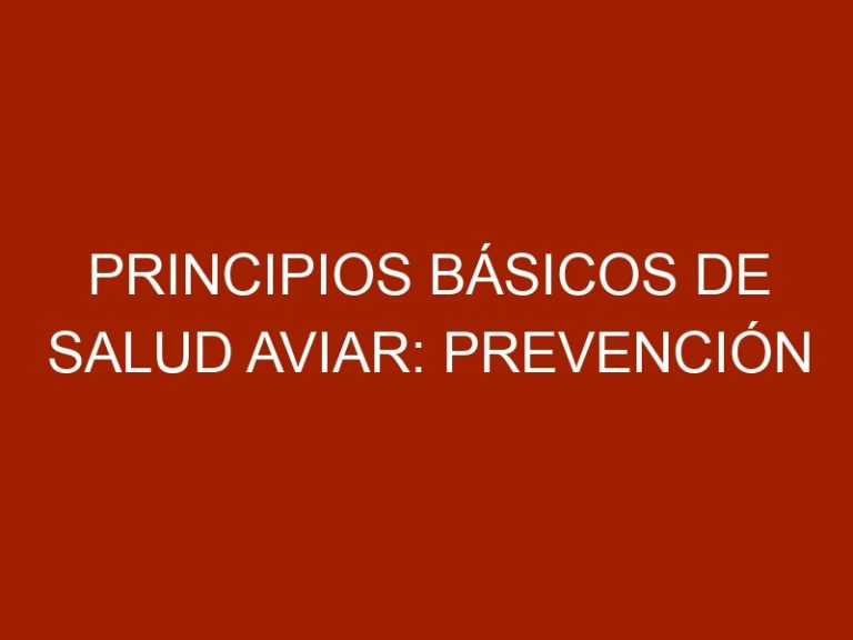 Principios básicos de salud aviar: prevención de enfermedades
