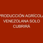 Producción agrícola venezolana solo cubrirá 30% del consumo del primer trimestre