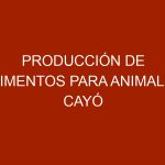 Producción de alimentos para animales cayó hasta un 60%