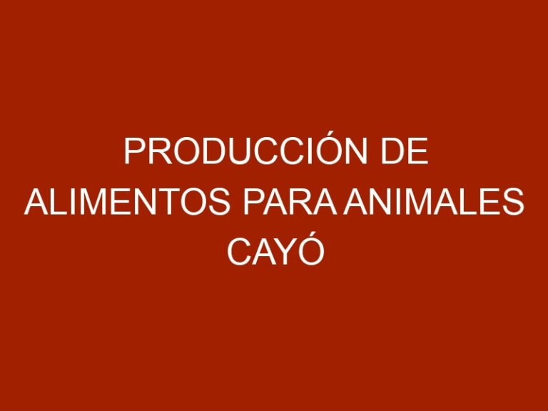 Producción de alimentos para animales cayó hasta un 60%