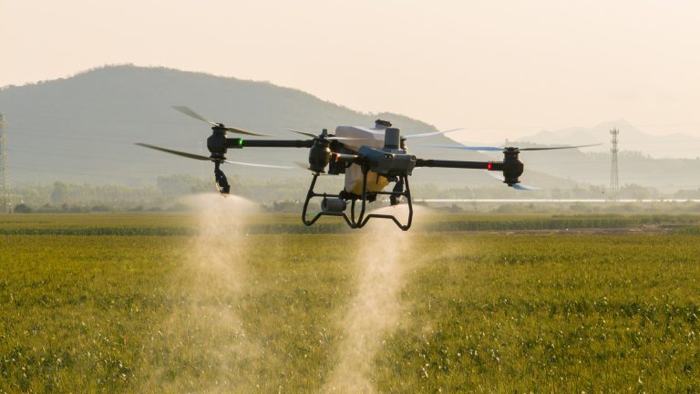 Suspensión de Operaciones con Drones Afecta la Productividad y la Competitividad en el Sector Agroindustrial Venezolano