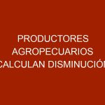 Productores Agropecuarios calculan disminución de más 40% de la producción de alimentos
