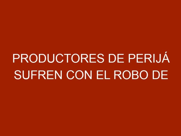 Productores de Perijá sufren con el robo de ganado