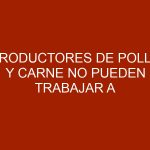 Productores de pollo y carne no pueden trabajar a pérdida