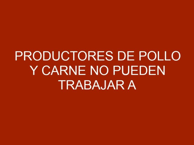 Productores de pollo y carne no pueden trabajar a pérdida