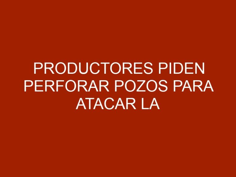 Productores piden perforar pozos para atacar la sequía en el Zulia