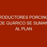 Productores porcinos de Guárico se suman al plan "Hagamos una Vaca"