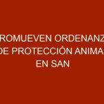 Promueven ordenanza de protección animal en San Cristóbal Táchira