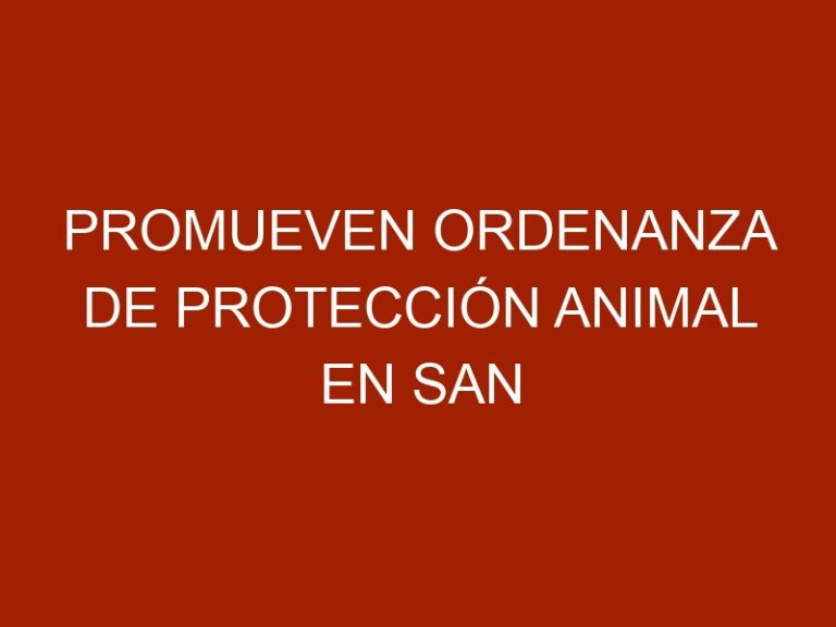 Promueven ordenanza de protección animal en San Cristóbal Táchira