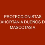 Proteccionistas exhortan a dueños de mascotas a no abandonarlas a pesar de la crisis