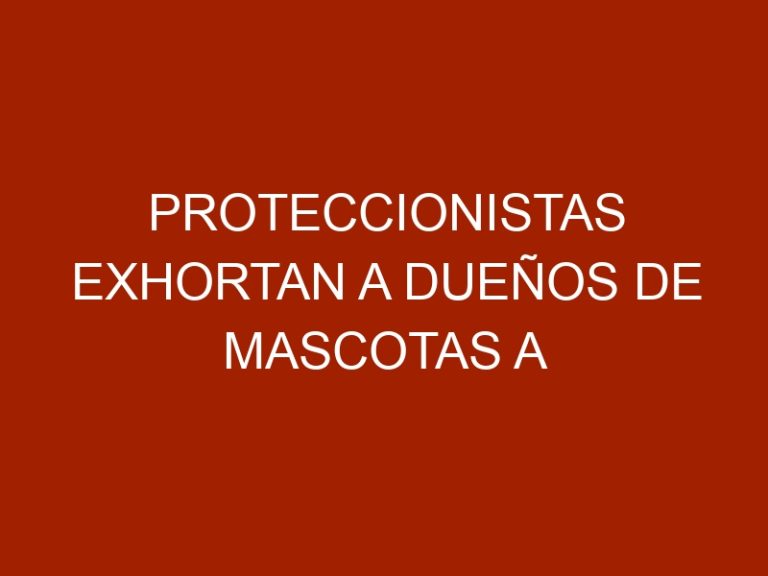 Proteccionistas exhortan a dueños de mascotas a no abandonarlas a pesar de la crisis